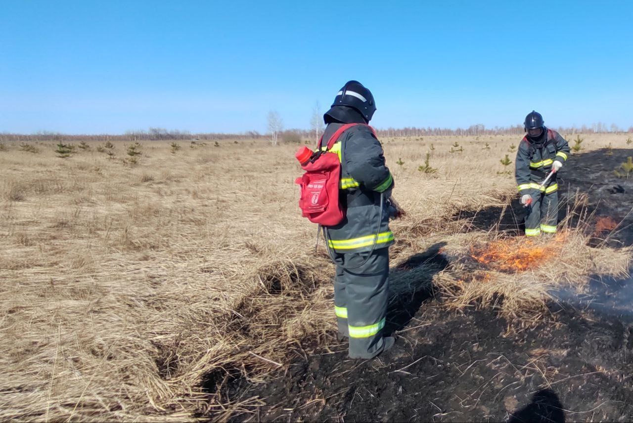 В Ульяновской области ожидается чрезвычайная пожарная опасность.