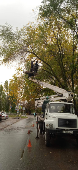 За минувшую неделю в Ульяновске убрали 76 опасных деревьев. За минувшую неделю в Ульяновске убрали 76 опасных деревьев.